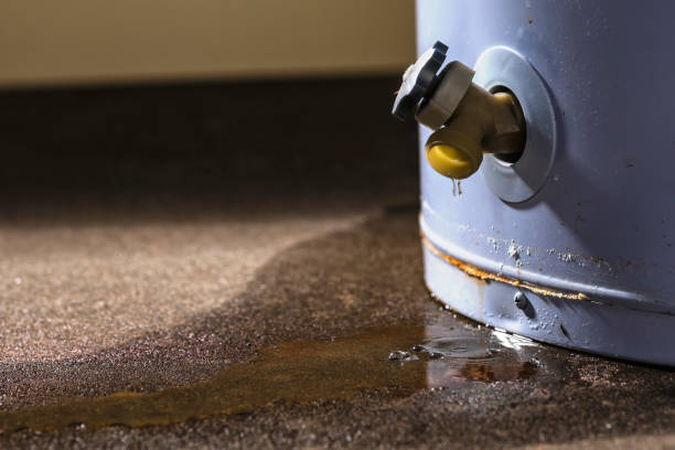 Local water damage restoration in MS