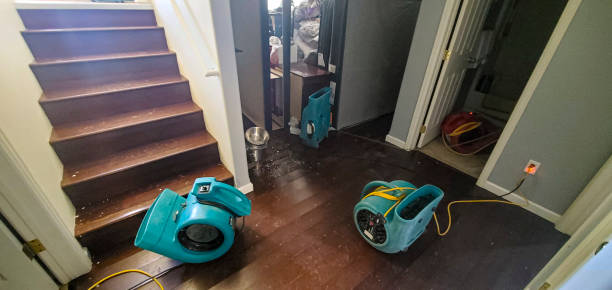 Best Flood restoration services  in Biloxi, MS