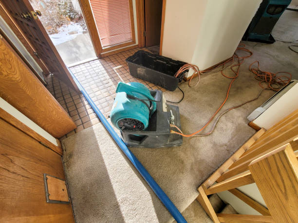 Best Flooded house restoration  in Biloxi, MS