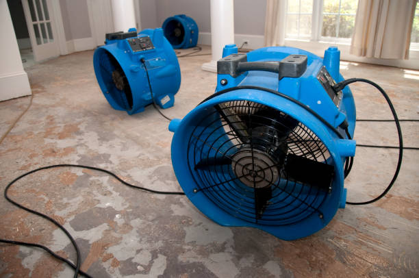 Best Sewage cleanup and water damage restoration  in Biloxi, MS